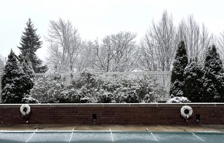 Snowfall Poolside 2025